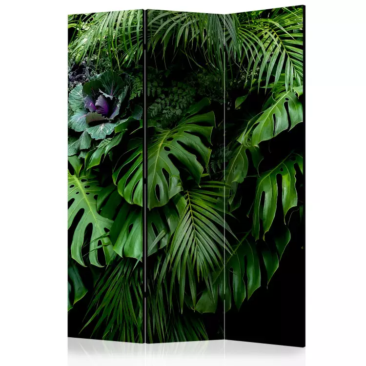 Regnskogar - landskap av tropiska monstera blad mot bakgrund av djungel