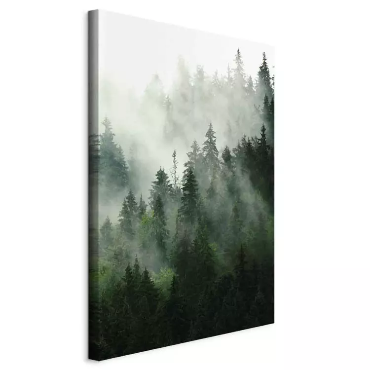 Barrskog (1-del) vertikal