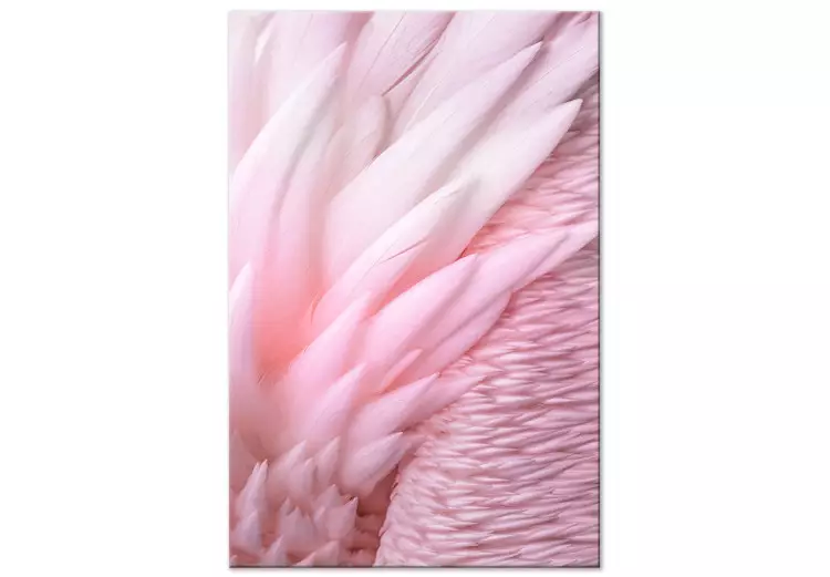 Rosa fjädrar - delikatess och subtilitet hos en unik fågelnatur