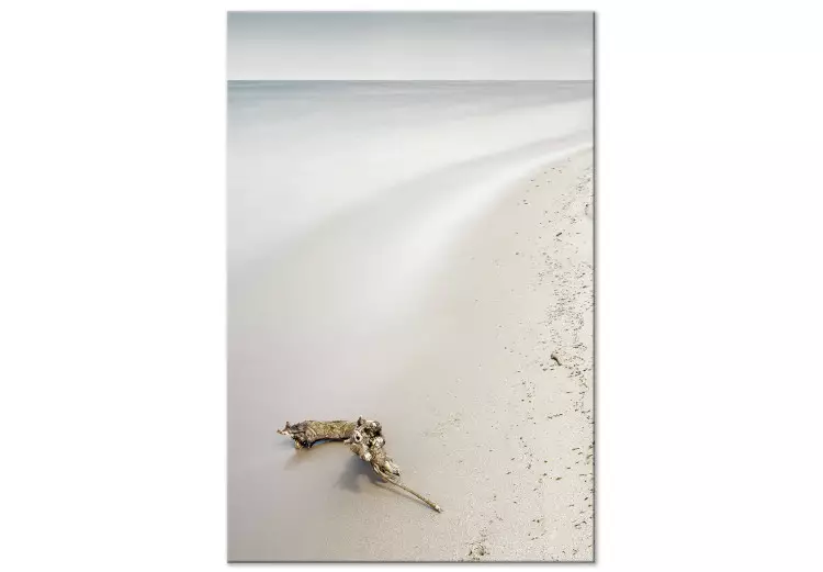 Den skandinaviska kusten - lugnt hav och mjuk sand på stranden