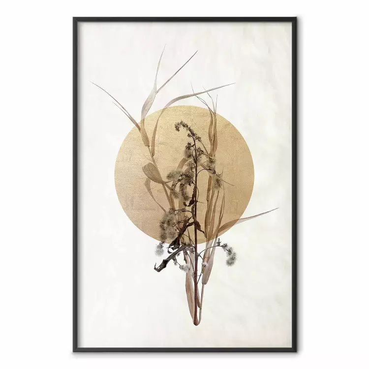 Fältbukett - beige komposition i japansk stil med cirkel och växt