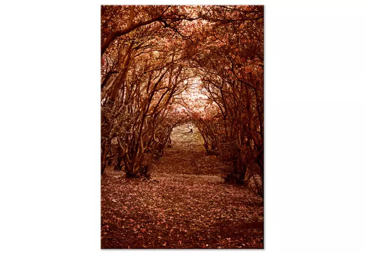 Trädkorridor - höstlandskap av en stig i en skog täckt av löv