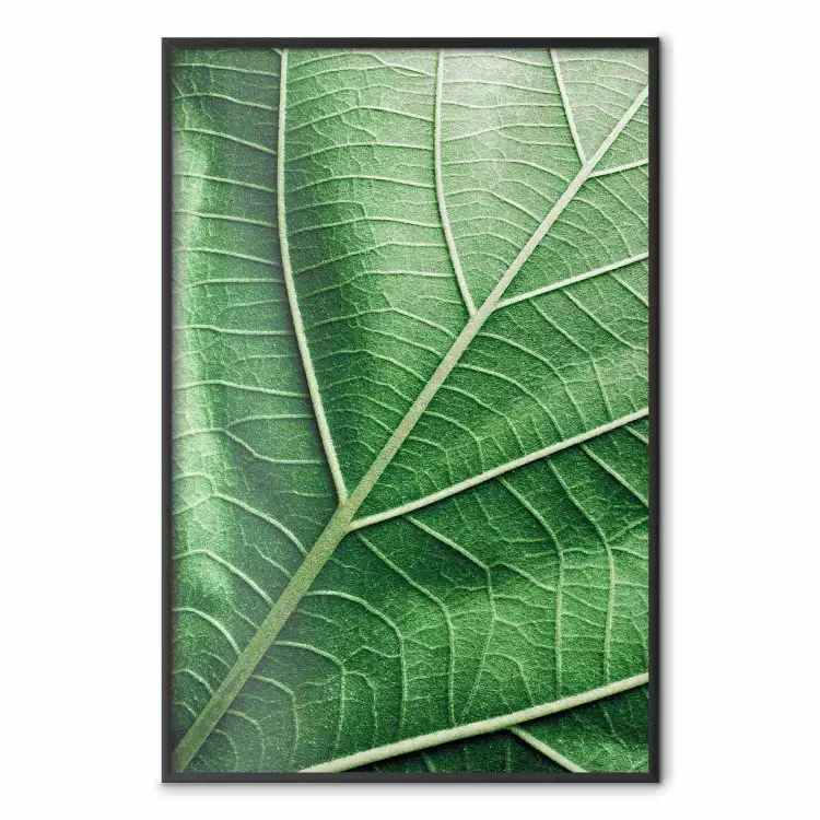 Malakitblad - grönt blad med detaljerad textur
