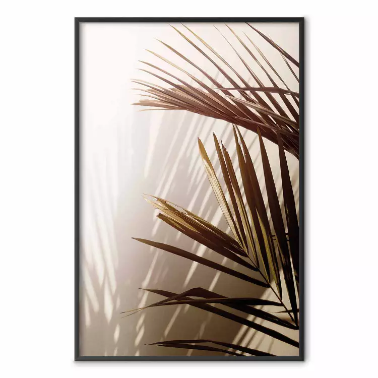 Rytmer i sepia - sommarkomposition med palmblad i tropikerna