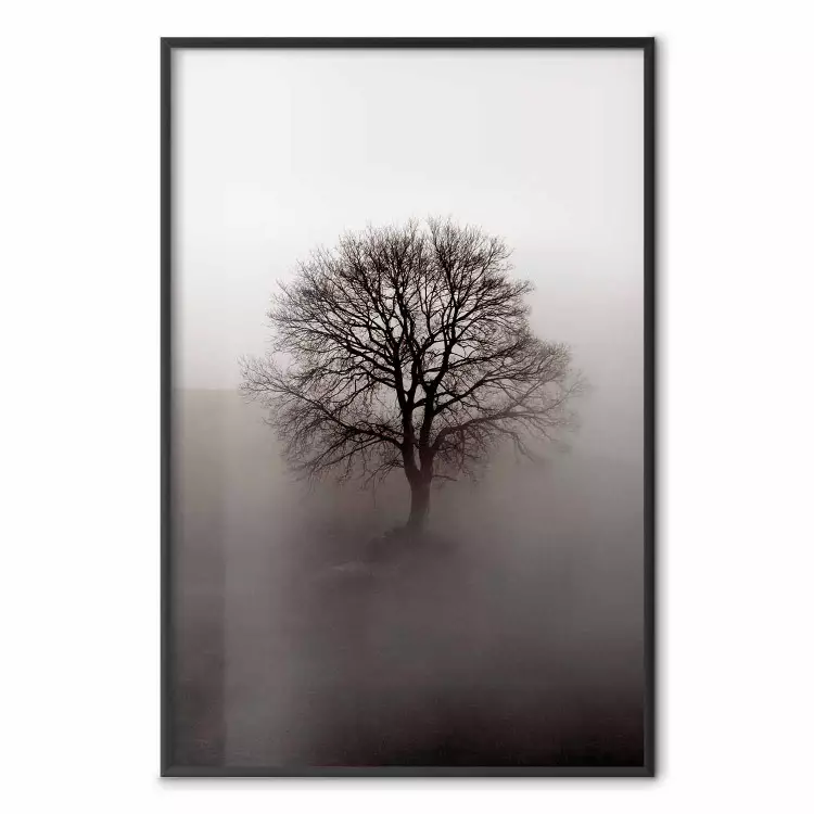 Kraften som vilar i trädet - landskap med lövträd i tjock dimma