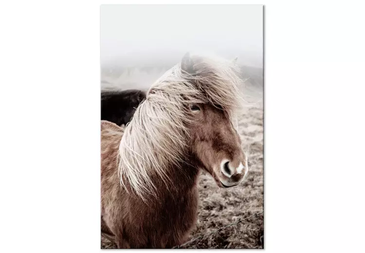 Mot vinden (1-del) vertikal - häst på porträttfoto