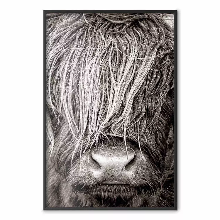 Ansikte mot ansikte med naturen - svartvitt porträtt av djur med hår