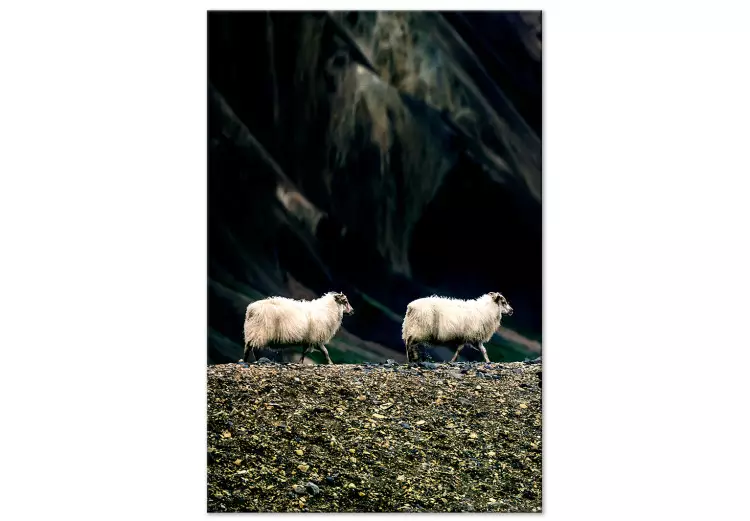 Följ mig! (1-del) vertikal - foto av två vita djur