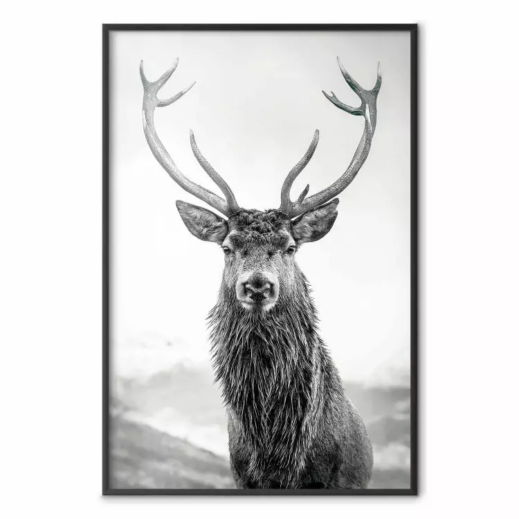 Hösthärskaren - svartvit porträtt av hjort på himmel och naturbakgrund