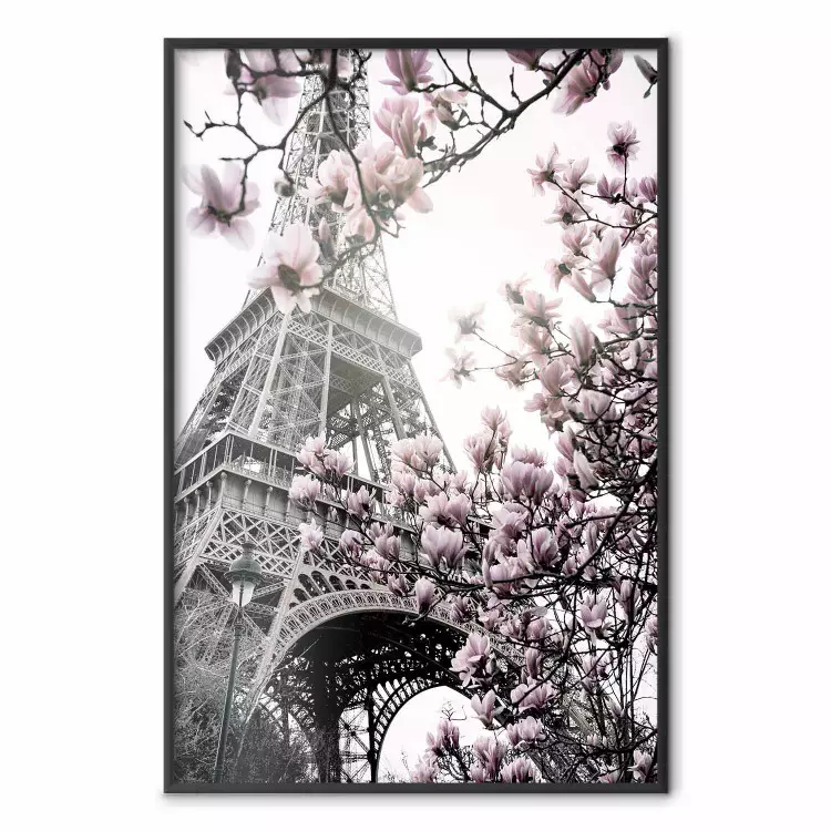 Eiffeltornet på våren - rosa magnolior i Paris