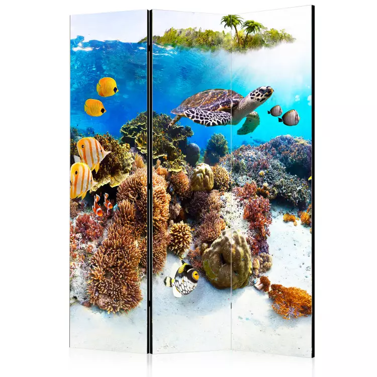 Korallrev (3-delad) - färgglada fiskar och växter på havets botten