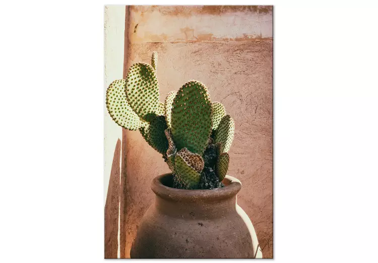 Kaktus i kruka (1-del) vertikal - grön växt i Marocko