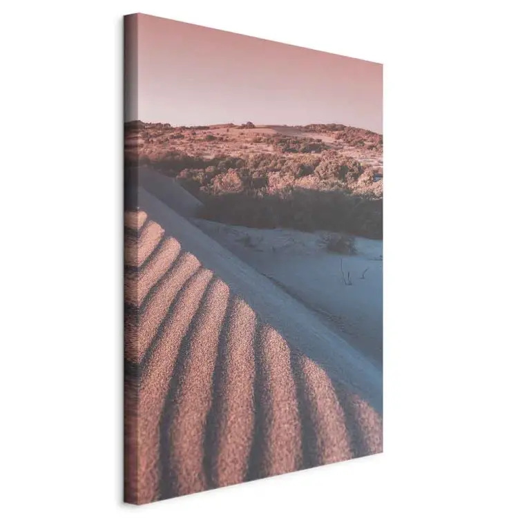 Rosa sand vertikal - Arabiskt ökenlandskap