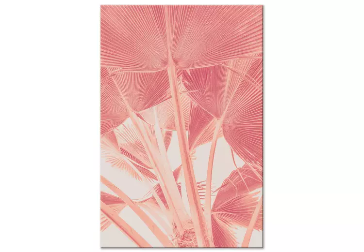 Rosa palm - en överexponerad bild av palmblad i rosa färg.