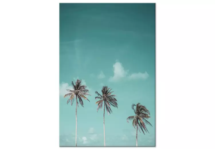 Tre palmer - bild av tre träd mot den blå himlen