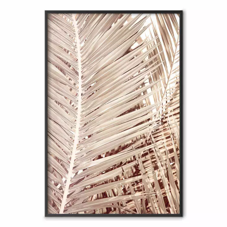 Beige palm - tropiska palmblad i gyllene nyanser