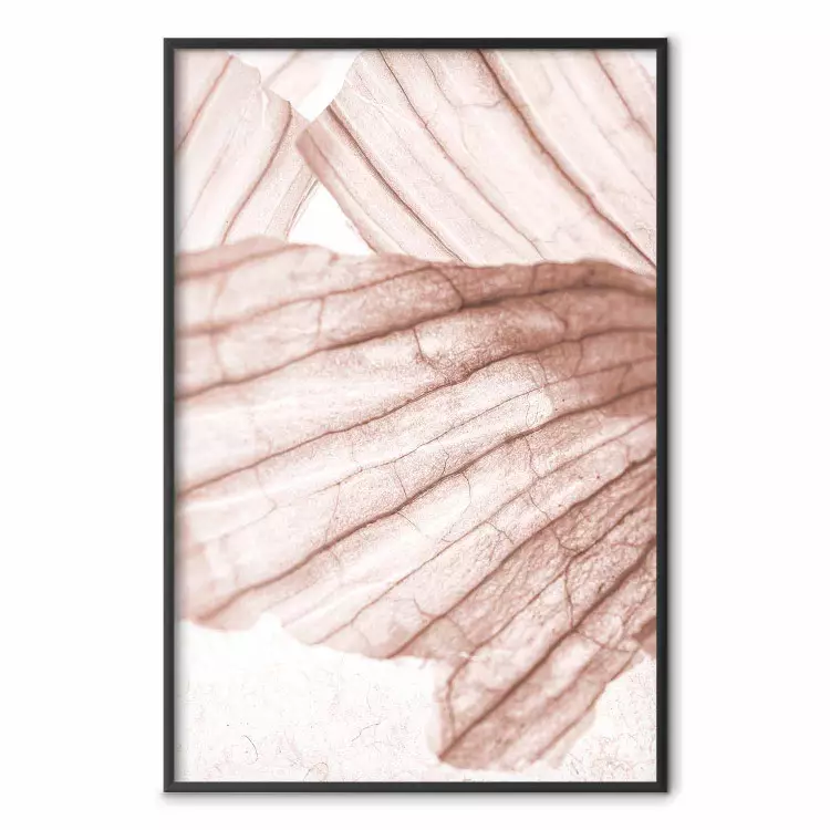 Vingar - närbildsfotografi av abstrakt textur