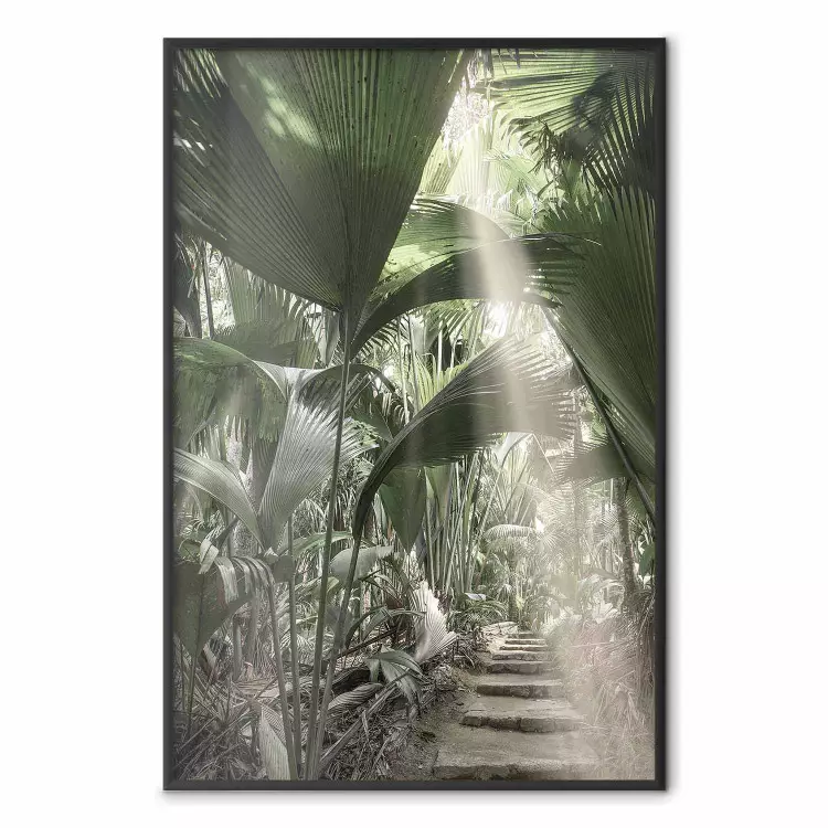 I palmernas skugga - stig genom grönskande tropisk djungel