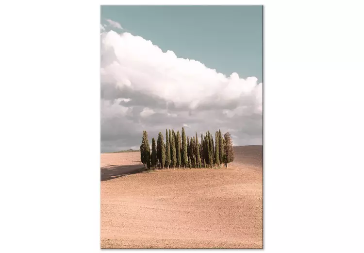 Toscansk skog - foto med Toscana landskap, moln och cypresser