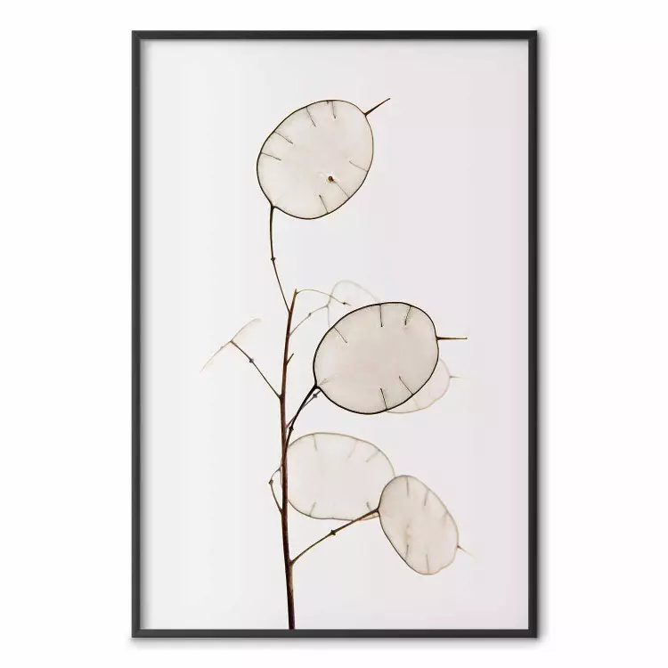 Månform - minimalistiskt växtmönster på vit bakgrund