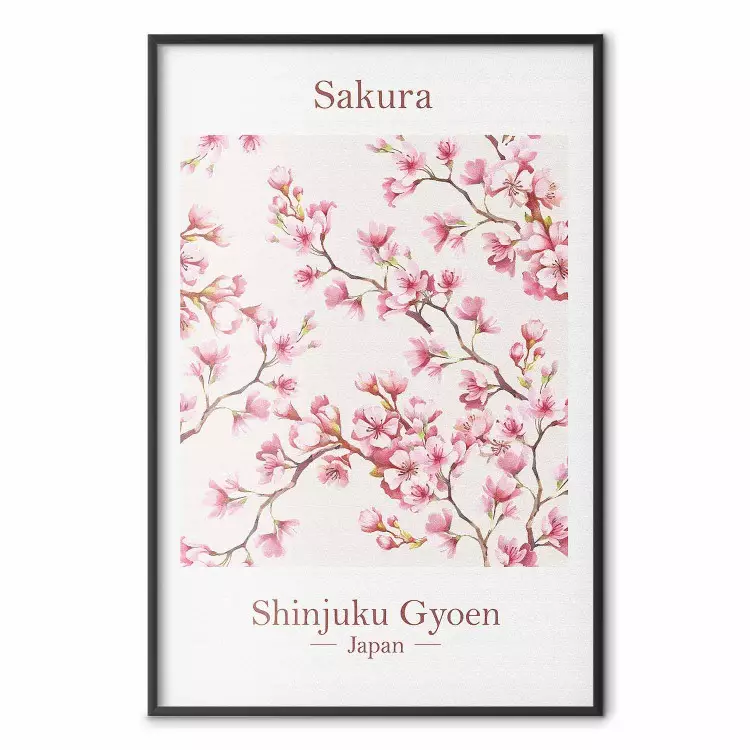 Sakura (Japan) - bild av japanska körsbärsblommor med text nedan