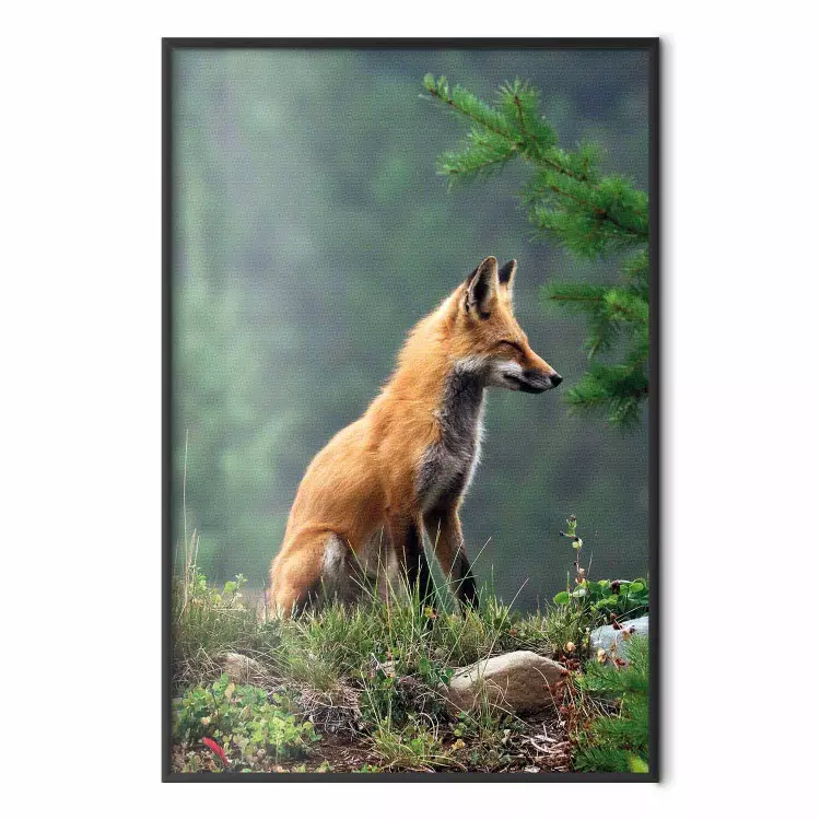 Rödhårig jägare - silhuett av en räv i skogen