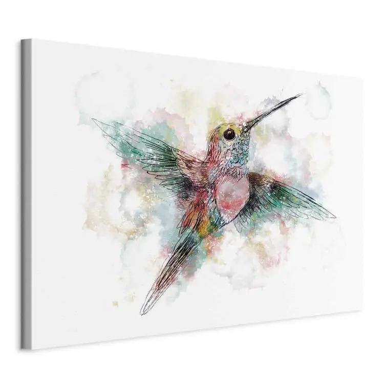 Färgglad kolibri bred - mångfärgad fågel för barn