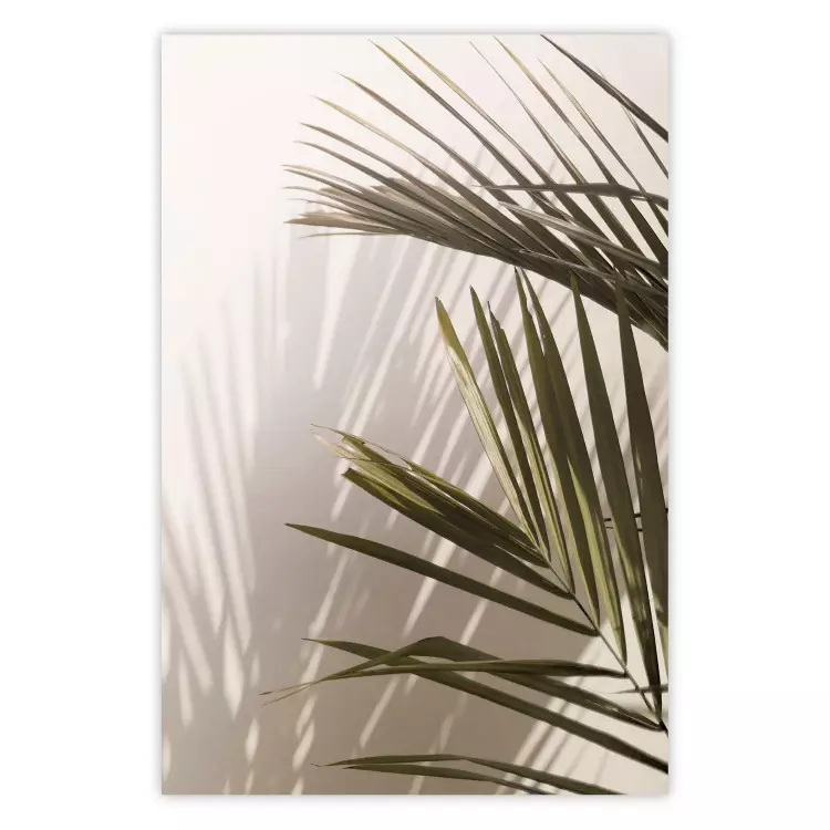 Palmblad - en solig vy över ett fridfullt samspel mellan skugga och ljus
