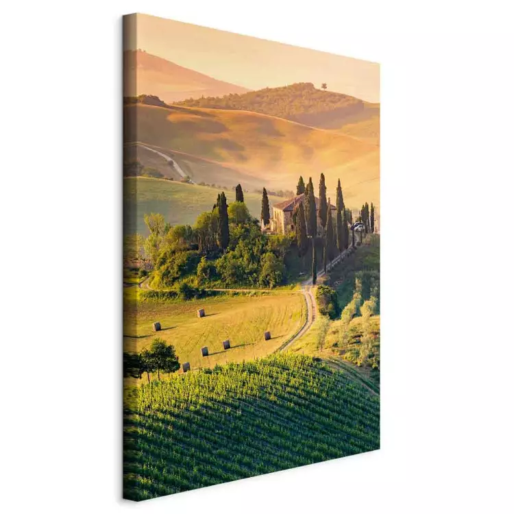 Soliga fält i Toscana - landskapsfotografi vid solnedgången