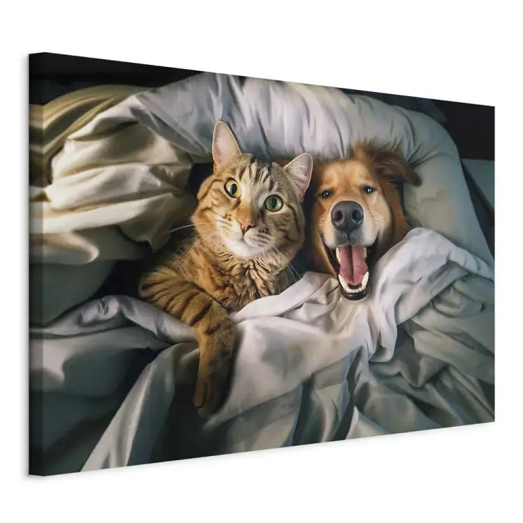 AI golden retriever-hund och tabbykatt - husdjur vilar i bekväma sängkläder - horisontell