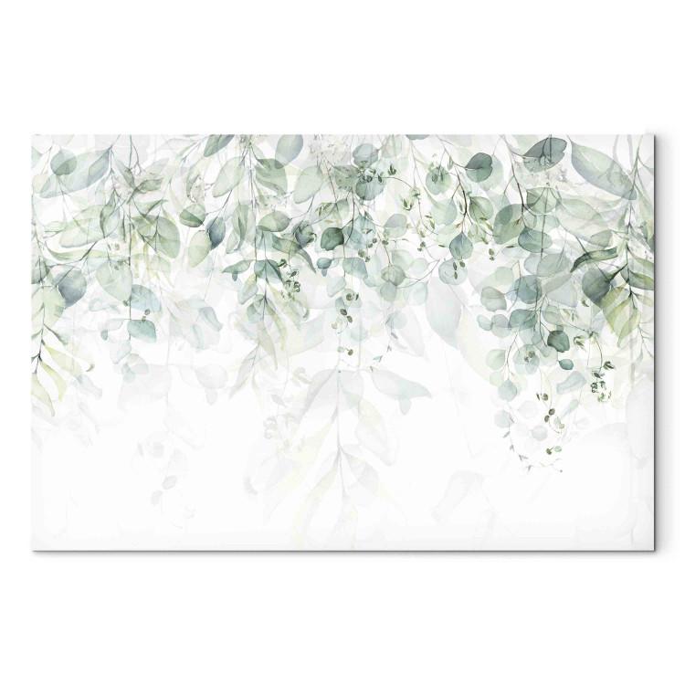 Canvastavla Delicate Touch of Nature - Plants in Pastel Delicate Greens on a White Background