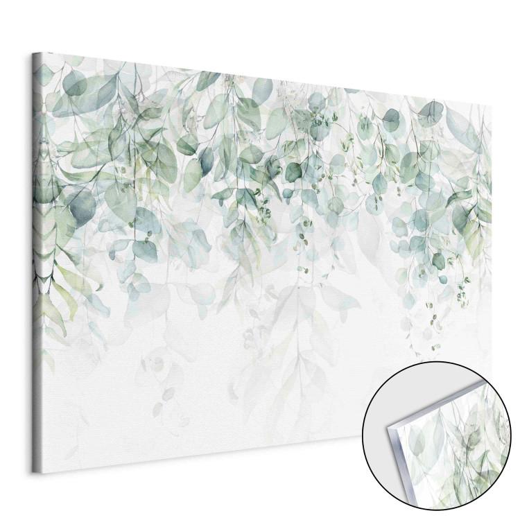 Tryck på akrylglas Delicate Touch of Nature - Plants in Pastel Delicate Greens on a White Background [Glass]