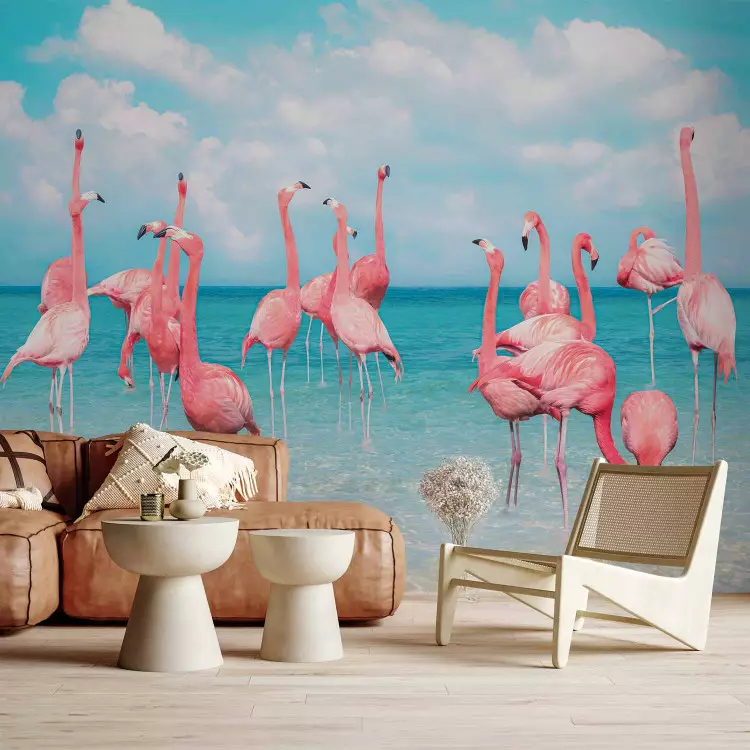 Flock flamingos - rosa fåglar i kristallklart vatten