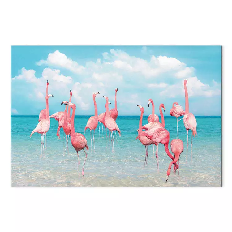 Tropiska flamingos - fåglar i klart vatten under en blå himmel