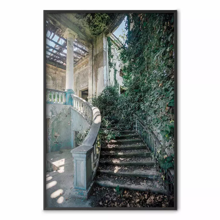 Övervuxen trappa - en övergiven trappa mitt i grönskan