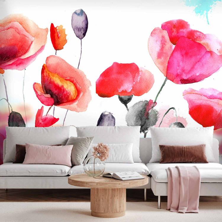 Vallmo tapet - modern tapet vallmo blommor av bimago