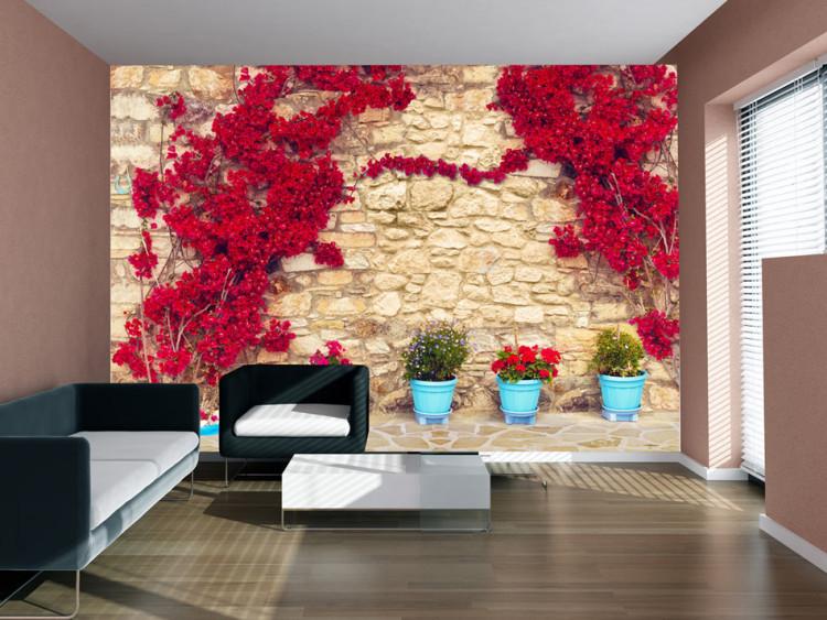 Fototapet Stenmur - bakgrund med röd murgröna och turkos blomkrukor