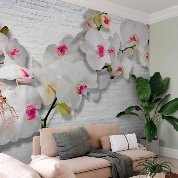 Fototapet Wall full of orchids