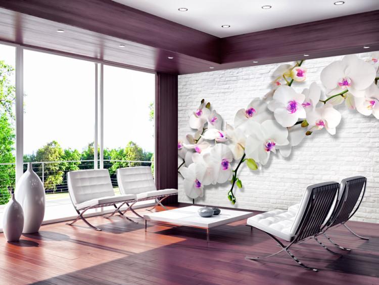 Fototapet Mur och natur - blommande orkidé med knoppar mot en tegelvit mur
