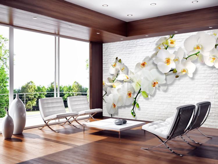Fototapet Blomstrande natur - komposition med en orkidé med knoppar mot en vit mur