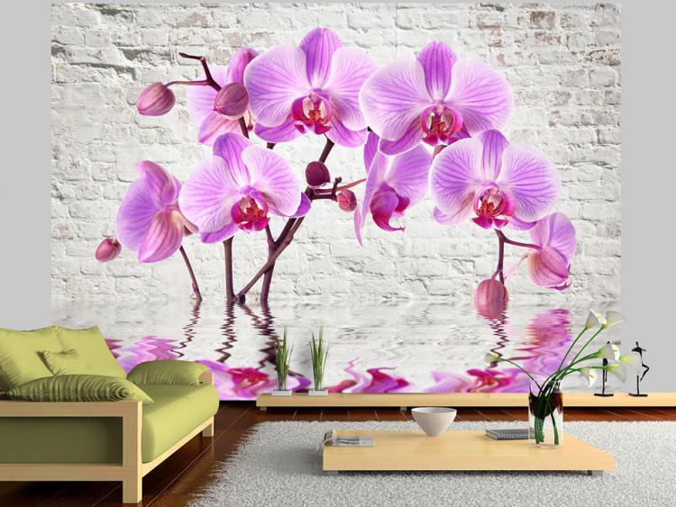 Fototapet Lila förtjusning - orkidéer nedsänkta i vatten mot en vit mur