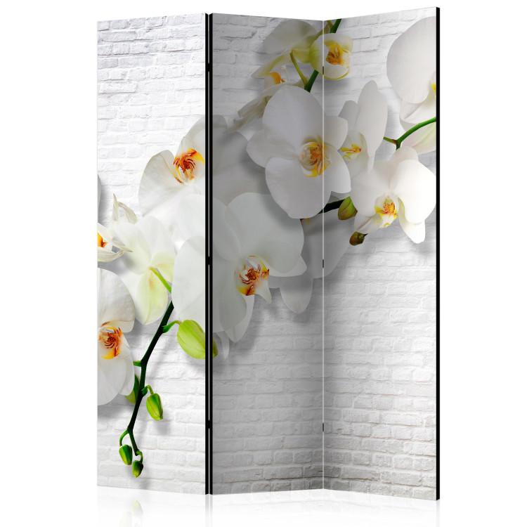 Rumsavdelare The Urban Orchid [Room Dividers]
