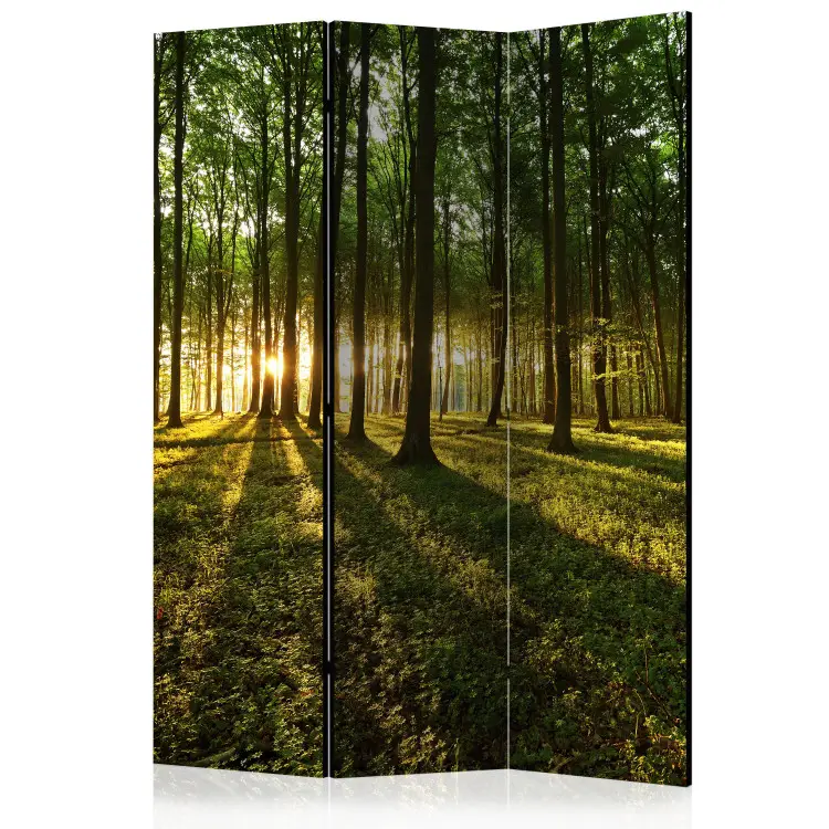 Morgon i Skogen - landskap av skogsrik natur mot en soluppgång
