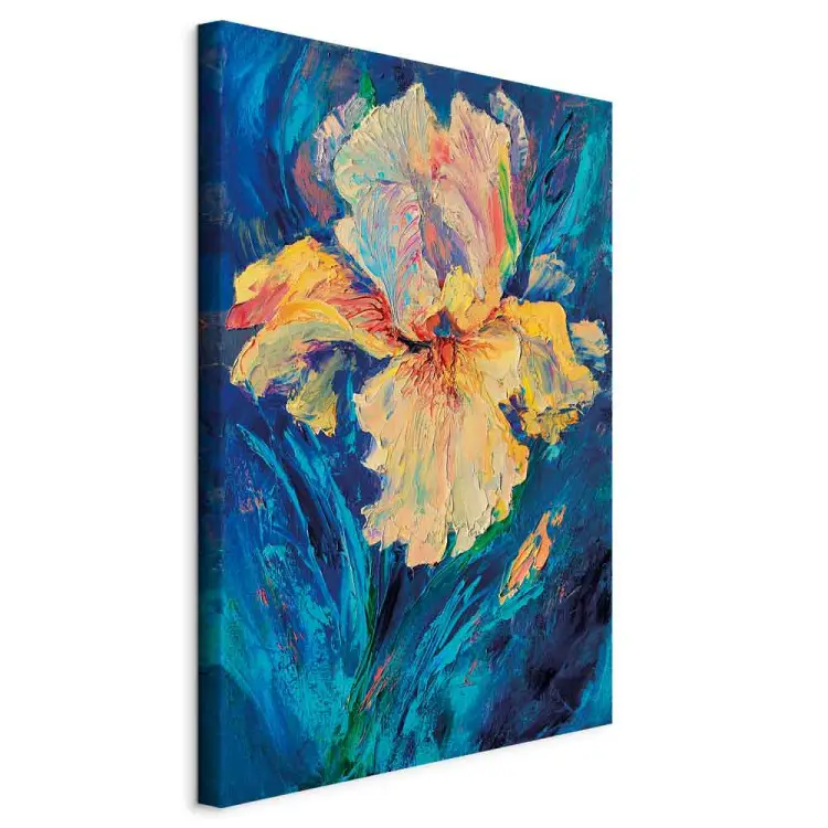 Vacker iris