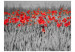 Fototapet Röda maskor i svartvit säd - kontrastrik abstraktion av blommor 60400 additionalThumb 1