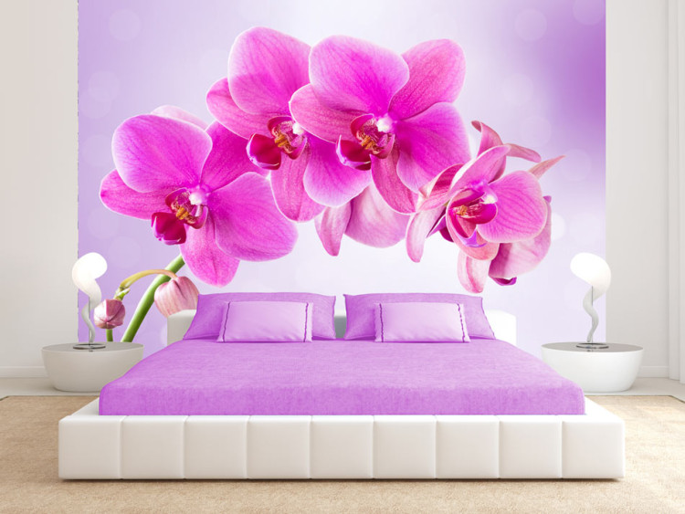 Fototapet Eftertanke - rosa orkidéblommor på lila bakgrund 60320