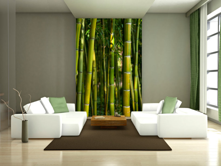 Fototapet Orient - naturmotiv i asiatisk stil med bambu över en vattenspegel 61450