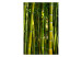 Fototapet Orient - naturmotiv i asiatisk stil med bambu över en vattenspegel 61450 additionalThumb 1