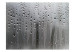 Fototapet Regn - grått motiv med regndroppar som rinner på imfönster 61060 additionalThumb 1