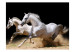 Fototapet Galopp av hästar - vita hästar som springer på sanden mot svart bakgrund 61260 additionalThumb 1